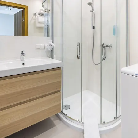 Unic Dominikanska Apartment Posen